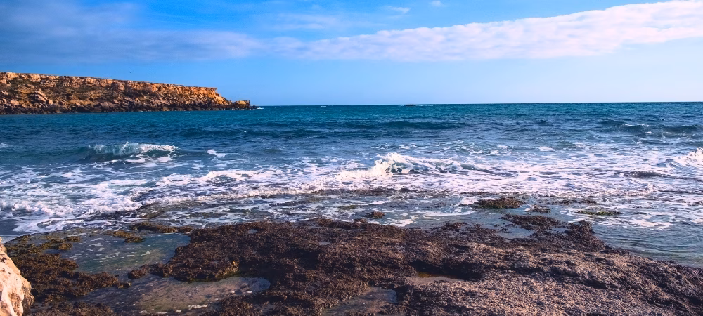 Quelle calanque choisir sur la Côte Bleue quand on a des enfants ?